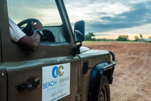 From Zanzibar: Best Day Safari Selous with flights and lunch