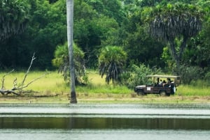 From Zanzibar: Best Day Safari Selous with flights and lunch