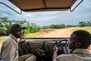 From Zanzibar: Best Day Safari Selous with flights and lunch