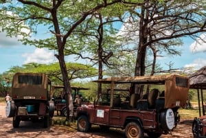 From Zanzibar: Best Day Safari Selous with flights and lunch