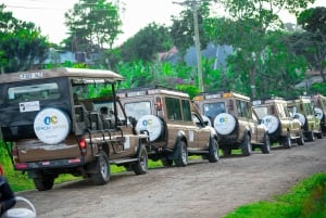 From Zanzibar: Best Day Safari Selous with flights and lunch