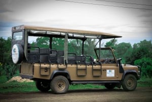 From Zanzibar: Best Day Safari Selous with flights and lunch