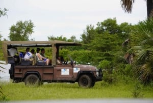 From Zanzibar: Best Day Safari Selous with flights and lunch