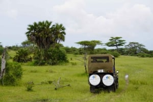 From Zanzibar: Best Day Safari Selous with flights and lunch