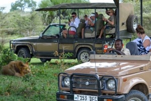 From Zanzibar: Best Day Safari Selous with flights and lunch