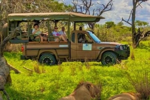 From Zanzibar: Best Day Safari Selous with flights and lunch