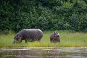 From Zanzibar: Best Day Safari Selous with flights and lunch