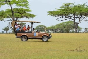 Depuis Zanzibar : Best Day Safari Selous avec vols et déjeuner
