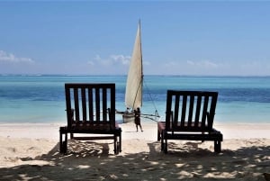 From Zanzibar City: Island and Safari 13-Day Tour