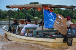 ザンジバル＆タンザニア：ビーチ＆サファリアドベンチャーツアー13日間