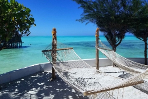 ザンジバル＆タンザニア：ビーチ＆サファリアドベンチャーツアー13日間