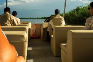 ザンジバル＆タンザニア：ビーチ＆サファリアドベンチャーツアー13日間