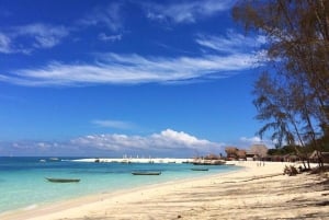 Z miasta Zanzibar do Nungwi: pływanie z żółwiami + plaża i zachód słońca