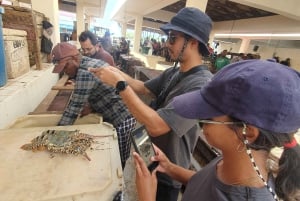 A partir de Zanzibar: Viagem de 1 dia a Dar es Salaam com ferry e almoço