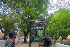 A partir de Zanzibar: Viagem de 1 dia a Dar es Salaam com ferry e almoço