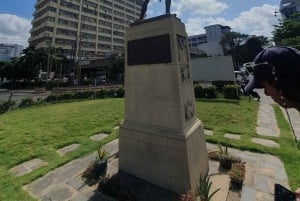 A partir de Zanzibar: Viagem de 1 dia a Dar es Salaam com ferry e almoço