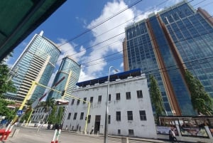 A partir de Zanzibar: Viagem de 1 dia a Dar es Salaam com ferry e almoço