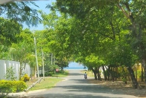 A partir de Zanzibar: Viagem de 1 dia a Dar es Salaam com ferry e almoço