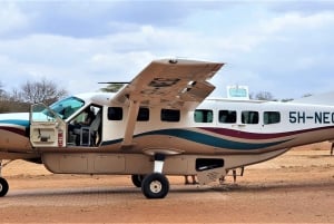 From Zanzibar: Day Safari Selous VIP with Flights