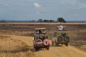 Von Sansibar: Tagessafari zum Mikumi-Nationalpark