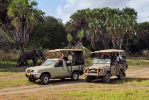 Fra Zanzibar: Dagsafari til Selous Game Reserve med fly