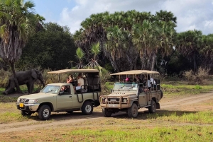 Fra Zanzibar: Dagsafari til Selous Game Reserve med fly