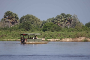 Fra Zanzibar: Dagsafari til Selous Game Reserve med fly