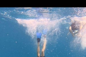 Da Zanzibar: avventura con gli squali balena a Mafia