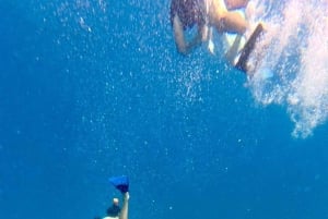 Da Zanzibar: avventura con gli squali balena a Mafia