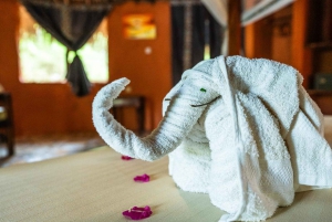 ザンジバルから：ミクミ2日間サファリ、マサイ村、フライトをご利用ください