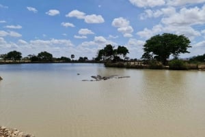 From Zanzibar: Mikumi Day Safari without hotel pickup