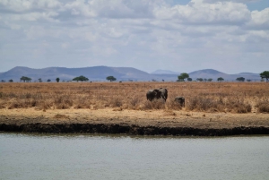 From Zanzibar: Mikumi Day Safari