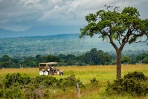 From Zanzibar: Mikumi Day Safari trip with Flights and Meal