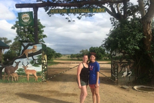 From Zanzibar: Mikumi day trip safari with lunch and guide.