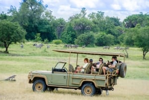 Vanuit Zanzibar: Mikumi Nationaal Park begeleide safari