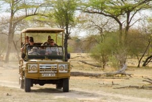 Vanuit Zanzibar: Mikumi Nationaal Park begeleide safari