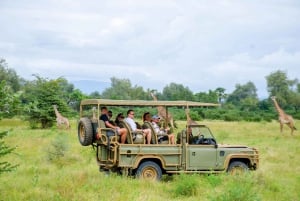 Vanuit Zanzibar: Mikumi Nationaal Park begeleide safari
