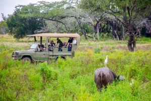 Vanuit Zanzibar: Mikumi Nationaal Park begeleide safari