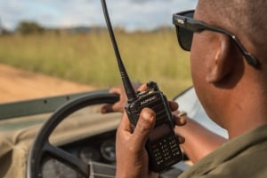 Vanuit Zanzibar: Mikumi Safari met tweemotorig vliegtuig + lunch