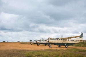 Vanuit Zanzibar: Mikumi Safari met tweemotorig vliegtuig + lunch