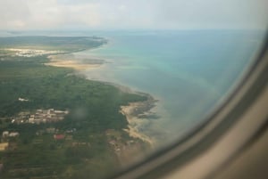 Vanuit Zanzibar: Mikumi Safari met tweemotorig vliegtuig + lunch