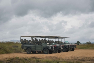 Vanuit Zanzibar: Mikumi Safari met tweemotorig vliegtuig + lunch