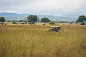 Vanuit Zanzibar: Mikumi Safari met tweemotorig vliegtuig + lunch
