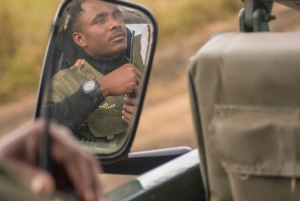 Vanuit Zanzibar: Mikumi Safari met tweemotorig vliegtuig + lunch