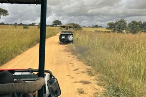 Vanuit Zanzibar: Mikumi Safari met tweemotorig vliegtuig + lunch