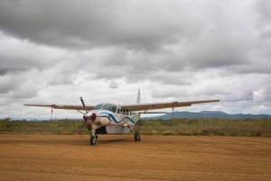 Vanuit Zanzibar: Mikumi Safari met tweemotorig vliegtuig + lunch
