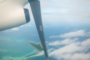 Vanuit Zanzibar: Mikumi Safari met tweemotorig vliegtuig + lunch