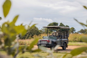 Vanuit Zanzibar: Mikumi Safari met tweemotorig vliegtuig + lunch