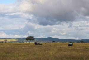 Vanuit Zanzibar: Mikumi Safari met tweemotorig vliegtuig + lunch