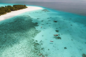 From Zanzibar: Mnemba Boat Tour with Snorkeling & Dolphine